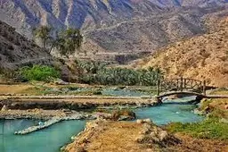 آواتار میزبان