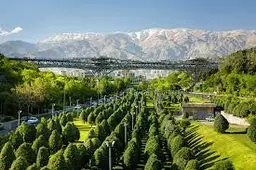 آواتار میزبان
