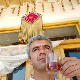 آواتار میزبان