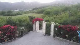آواتار میزبان