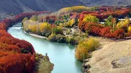 علی خدائی