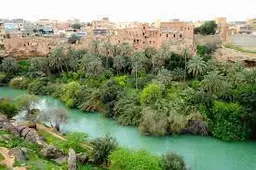 آواتار میزبان