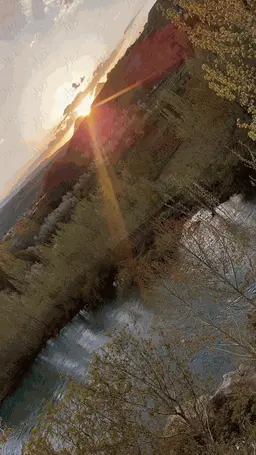 آواتار میزبان