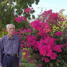 آواتار میزبان