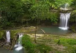 خانم احمدی