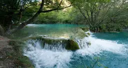آواتار میزبان