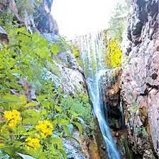 آواتار میزبان