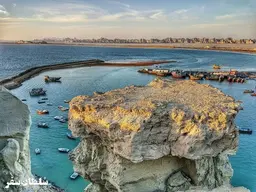 آواتار میزبان