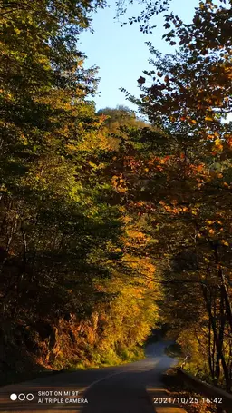 آواتار میزبان