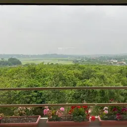 آواتار میزبان