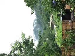 بهنام صدیق 