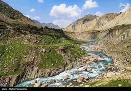 آواتار میزبان