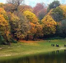 آواتار میزبان