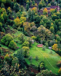 آواتار میزبان