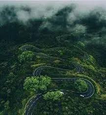 آواتار میزبان