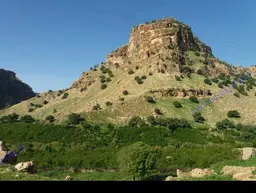 کبری محبتی