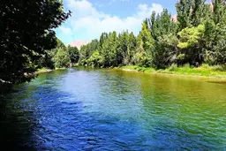 آواتار میزبان