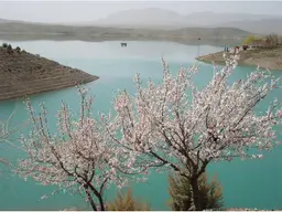 آواتار میزبان