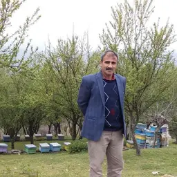آواتار میزبان