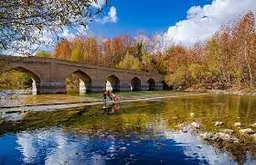 آواتار میزبان