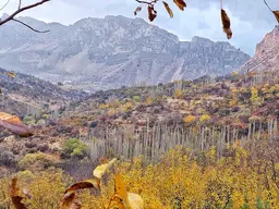 آواتار میزبان