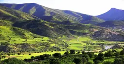 آواتار میزبان