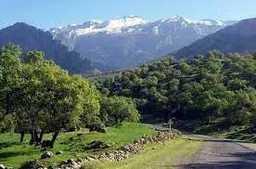 آواتار میزبان