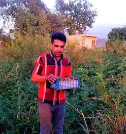 آواتار میزبان