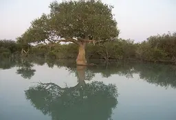 آواتار میزبان
