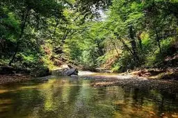 آواتار میزبان