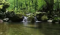 آواتار میزبان