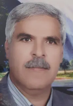 حسن حبیبی چادگانی
