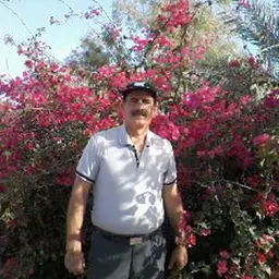 آواتار میزبان