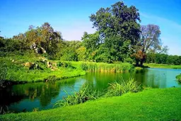 آواتار میزبان