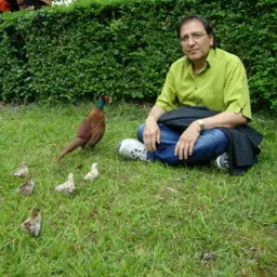 آواتار میزبان