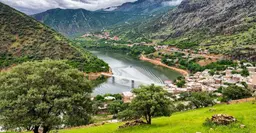 آواتار میزبان