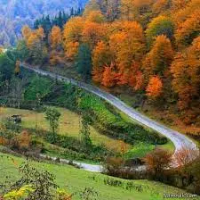 آواتار میزبان