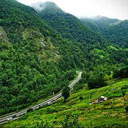 آواتار میزبان