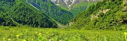 آواتار میزبان
