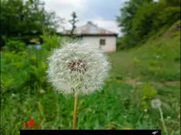 آواتار میزبان