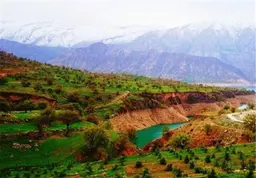 آواتار میزبان