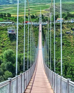 آواتار میزبان