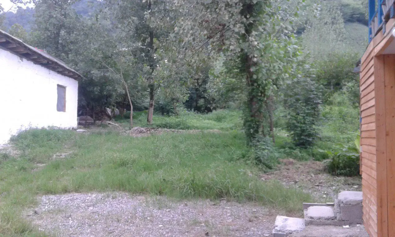 کلبه اجاره ای جنگلی سرسبز و زیبا در فومن