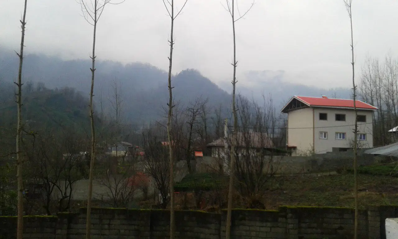 کلبه اجاره ای جنگلی سرسبز و زیبا در فومن