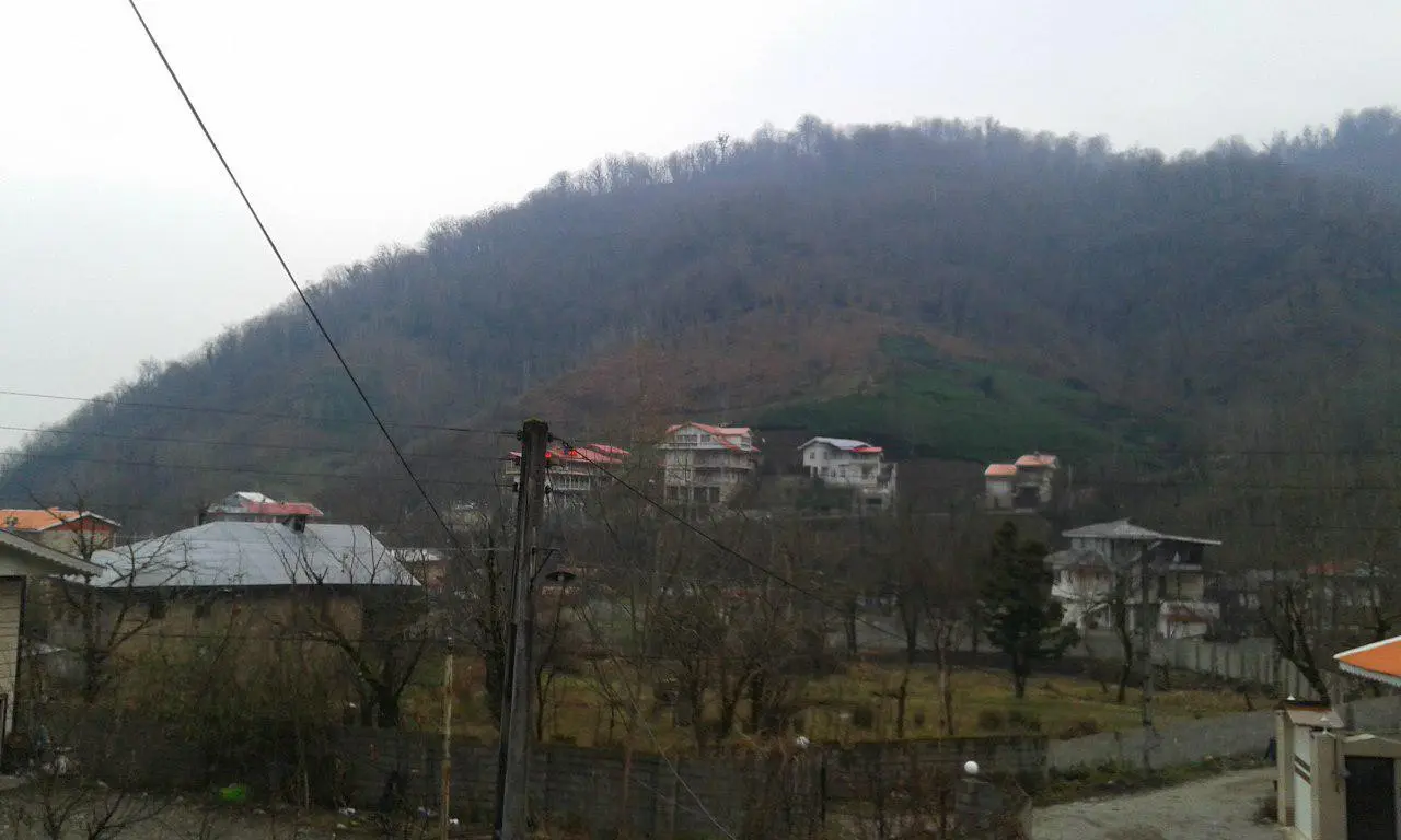 کلبه اجاره ای جنگلی سرسبز و زیبا در فومن