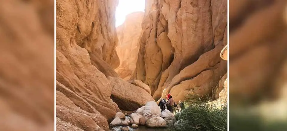 هتل نارنجستان در طبس