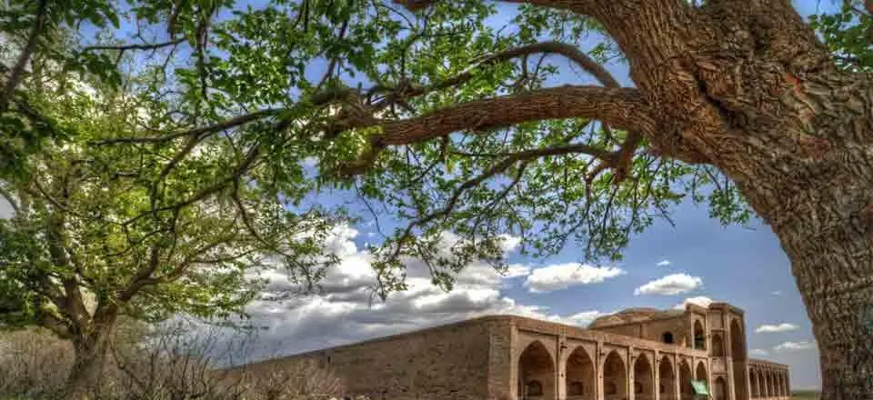 اقامتگاه بوم گردی نرگس داورزن