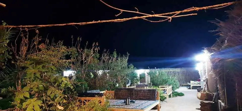 بوم گردی گندم بریان در شهداد