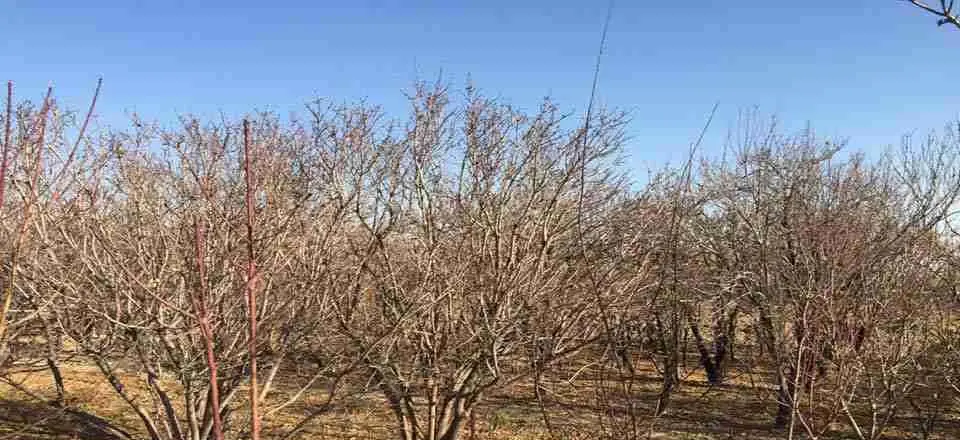 اقامتگاه بوم گردی شاهدان در نجف آباد