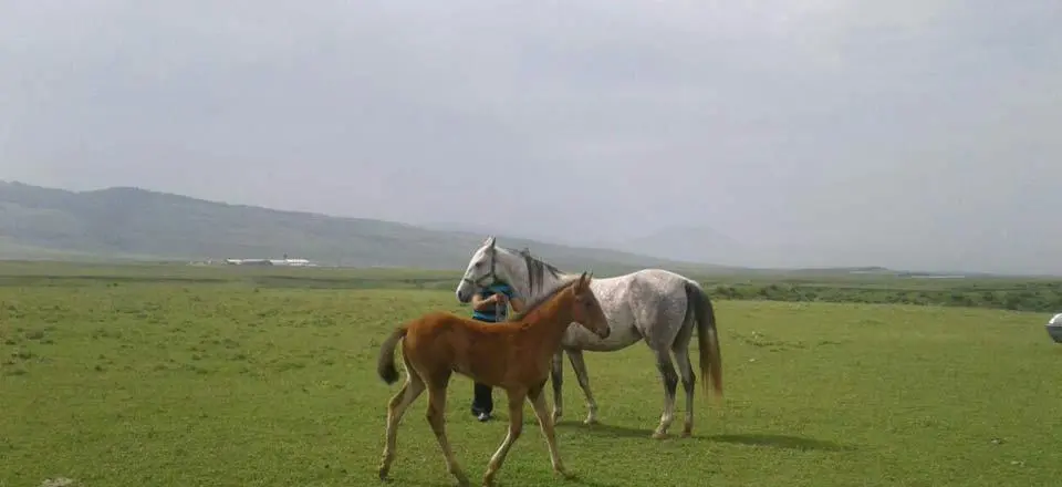 اجاره اقامتگاه هزاردره خالد نبی در کلاله